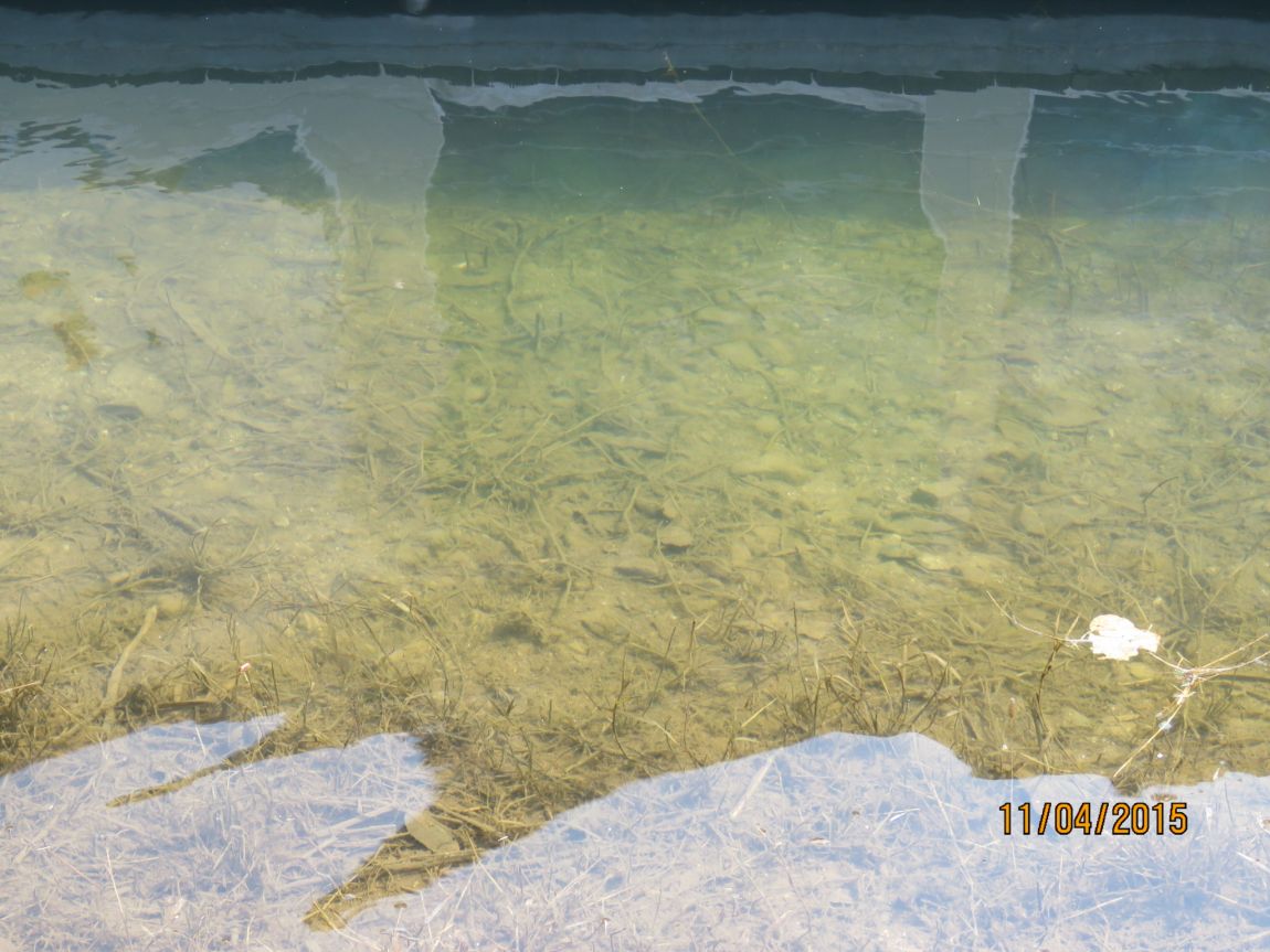 150411�������� (4).JPG