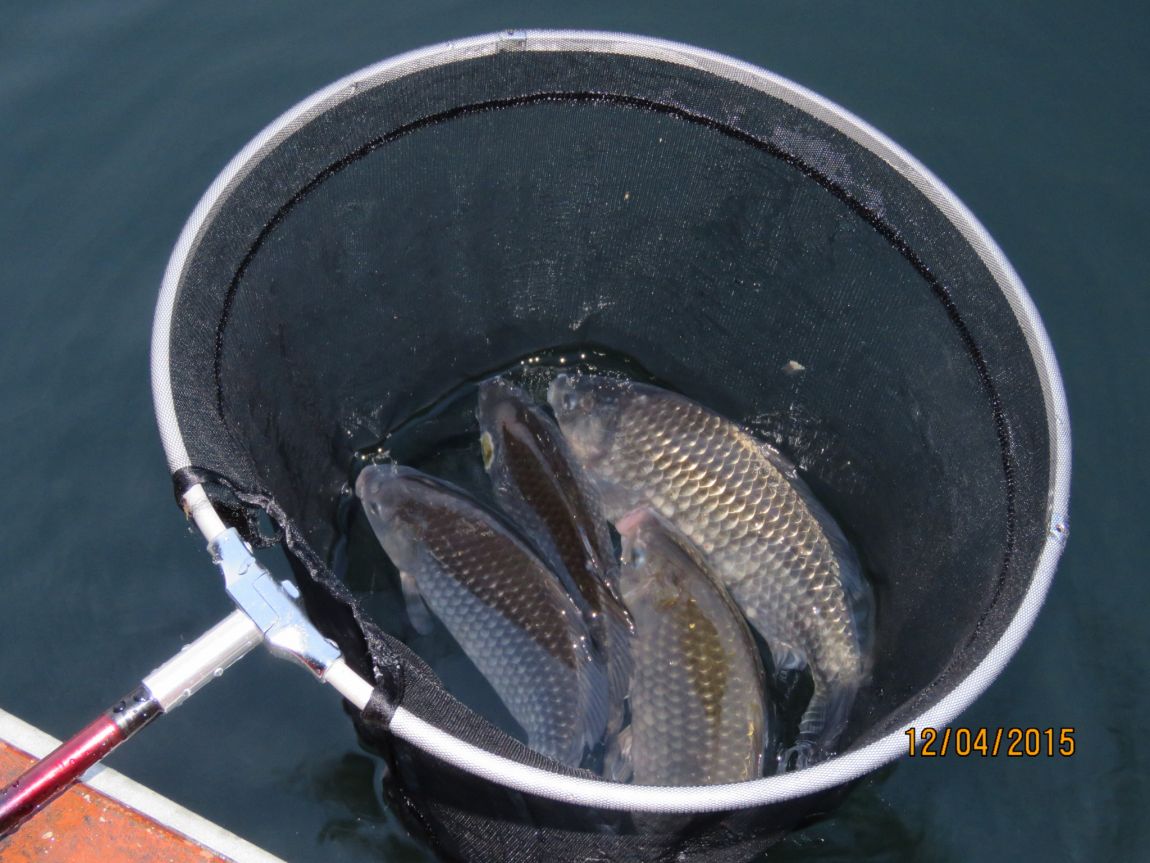 150411�������� (38).JPG