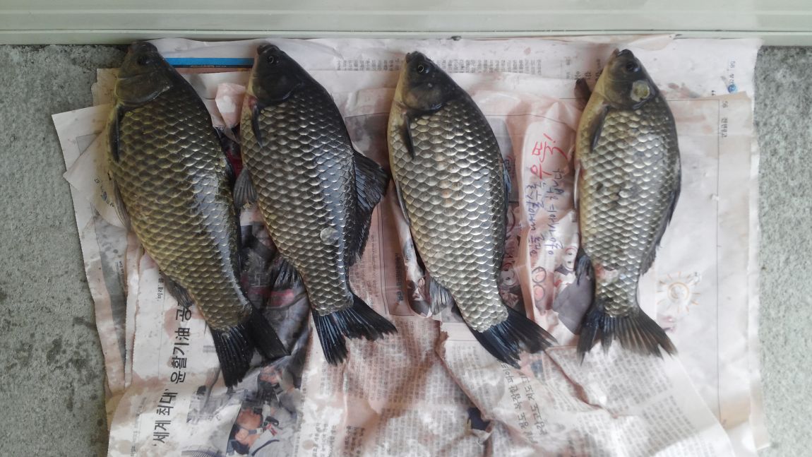 150411�������� (65).jpg