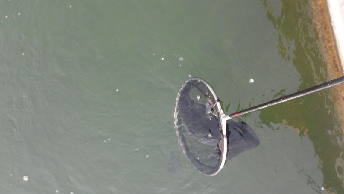 150411�������� (66).jpg