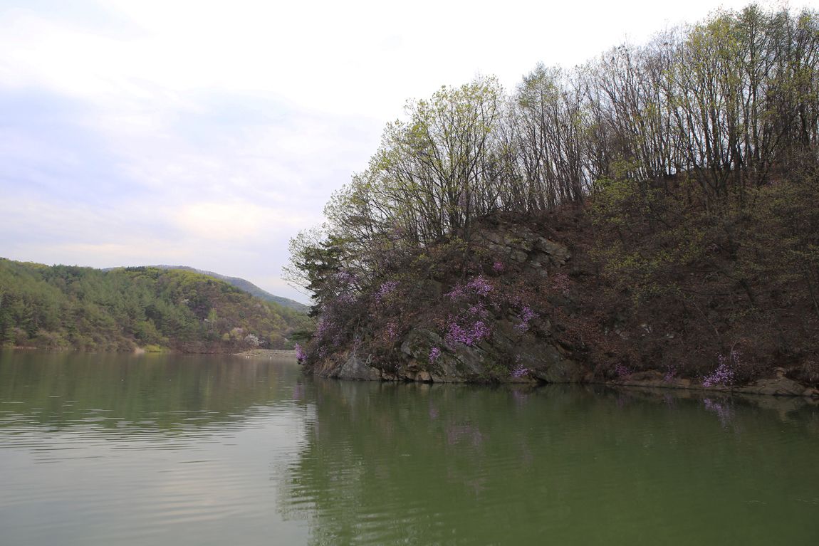 IMG_3887.JPG