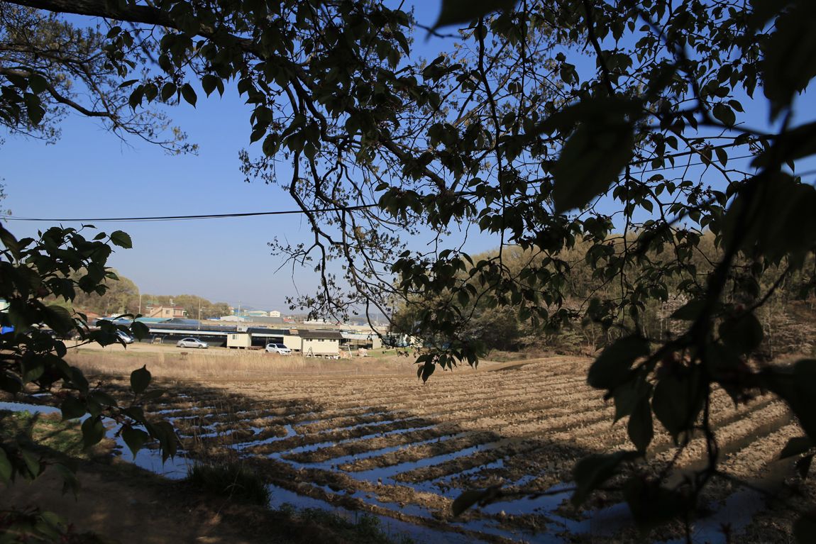 IMG_4061.JPG