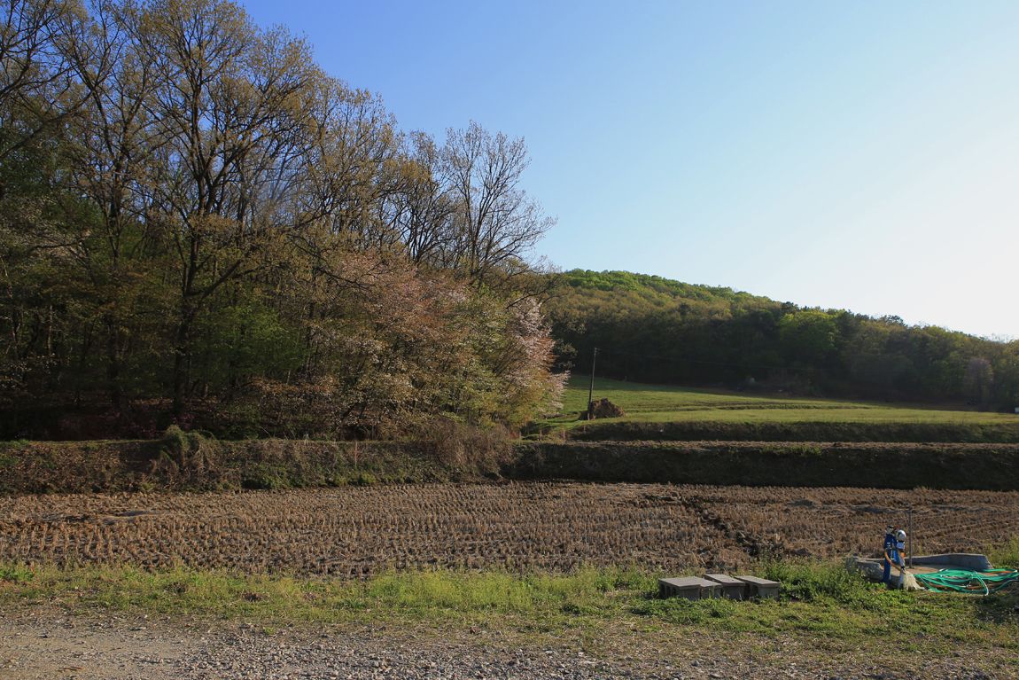 IMG_4115.JPG