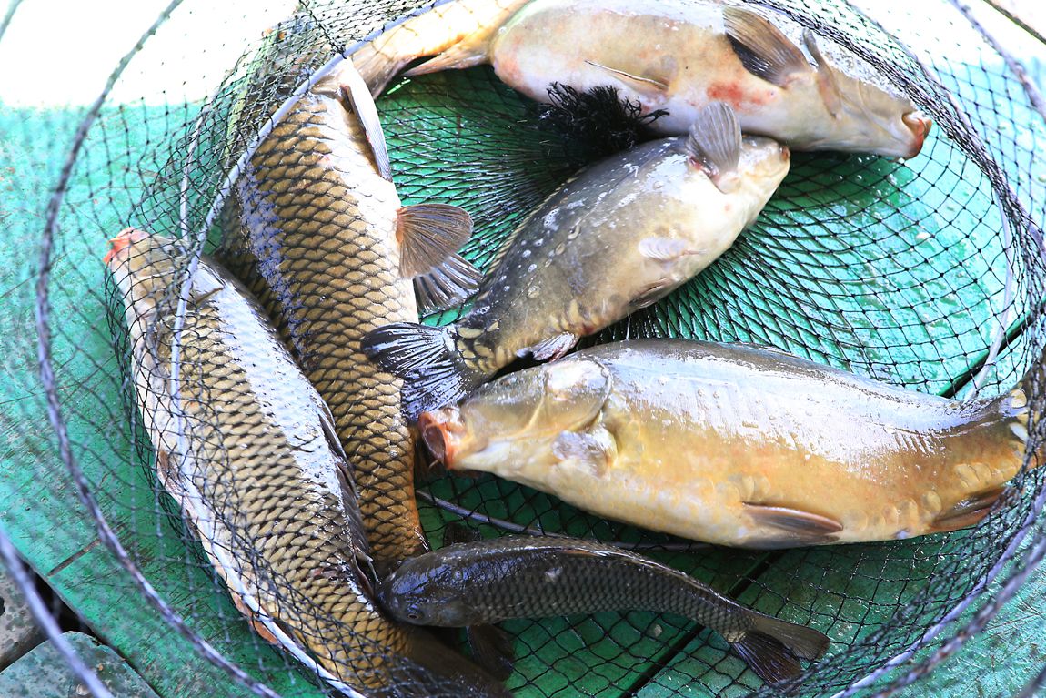 IMG_4549.JPG