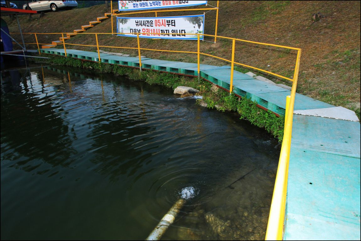 155.JPG