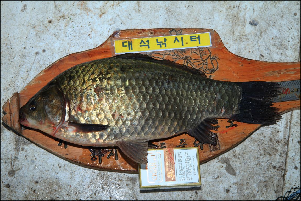 206.JPG