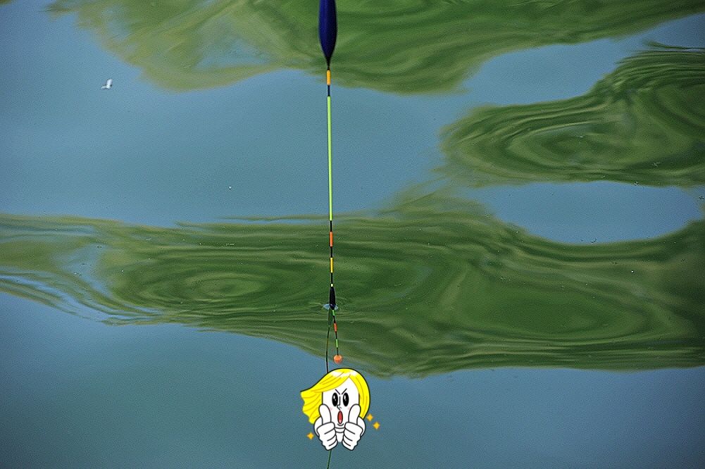 111.JPG