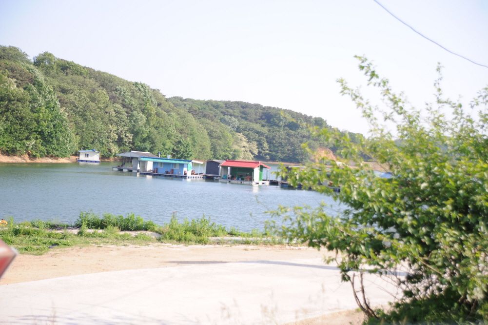 197.JPG
