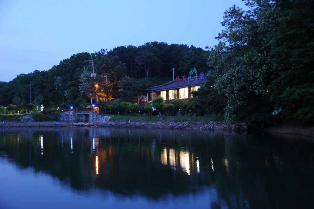 207.JPG