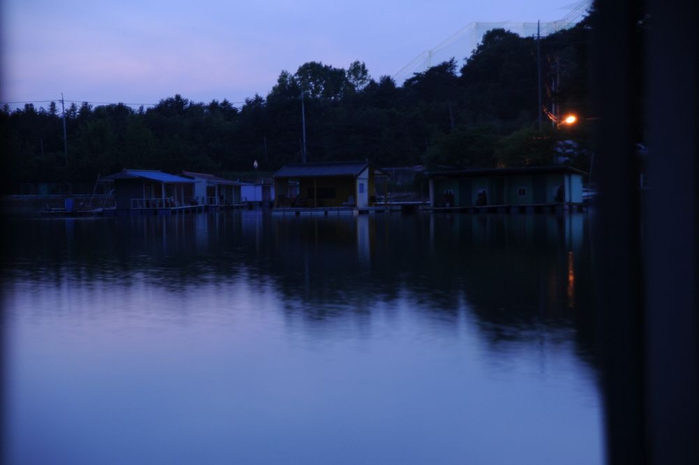 212.JPG