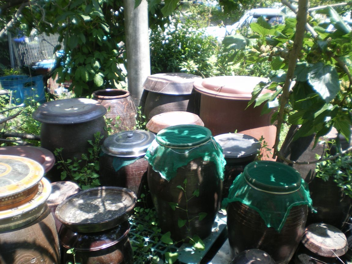 IMGP0861.JPG