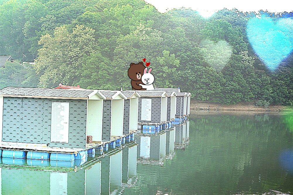 251.JPG