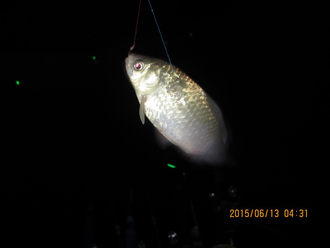 IMG_0281.JPG