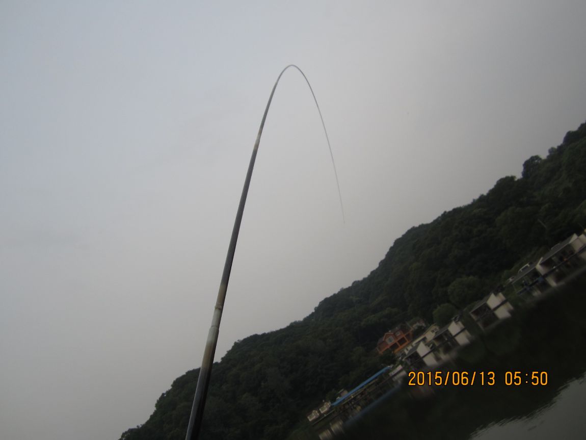 IMG_0290.JPG