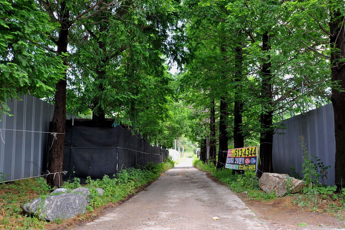 �ٹ̱�_�ٹ̱�_���� ^ ���߸� 242.JPG