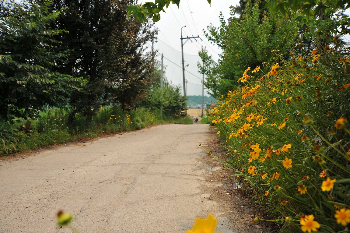 �ٹ̱�_�ٹ̱�_���� ^ ���߸� 023.JPG