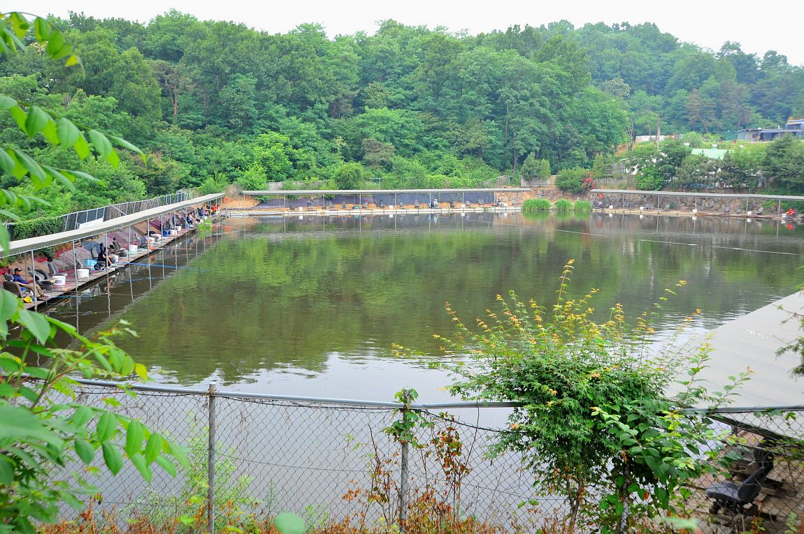 �ٹ̱�_�ٹ̱�_���� ^ ���߸� 043.JPG