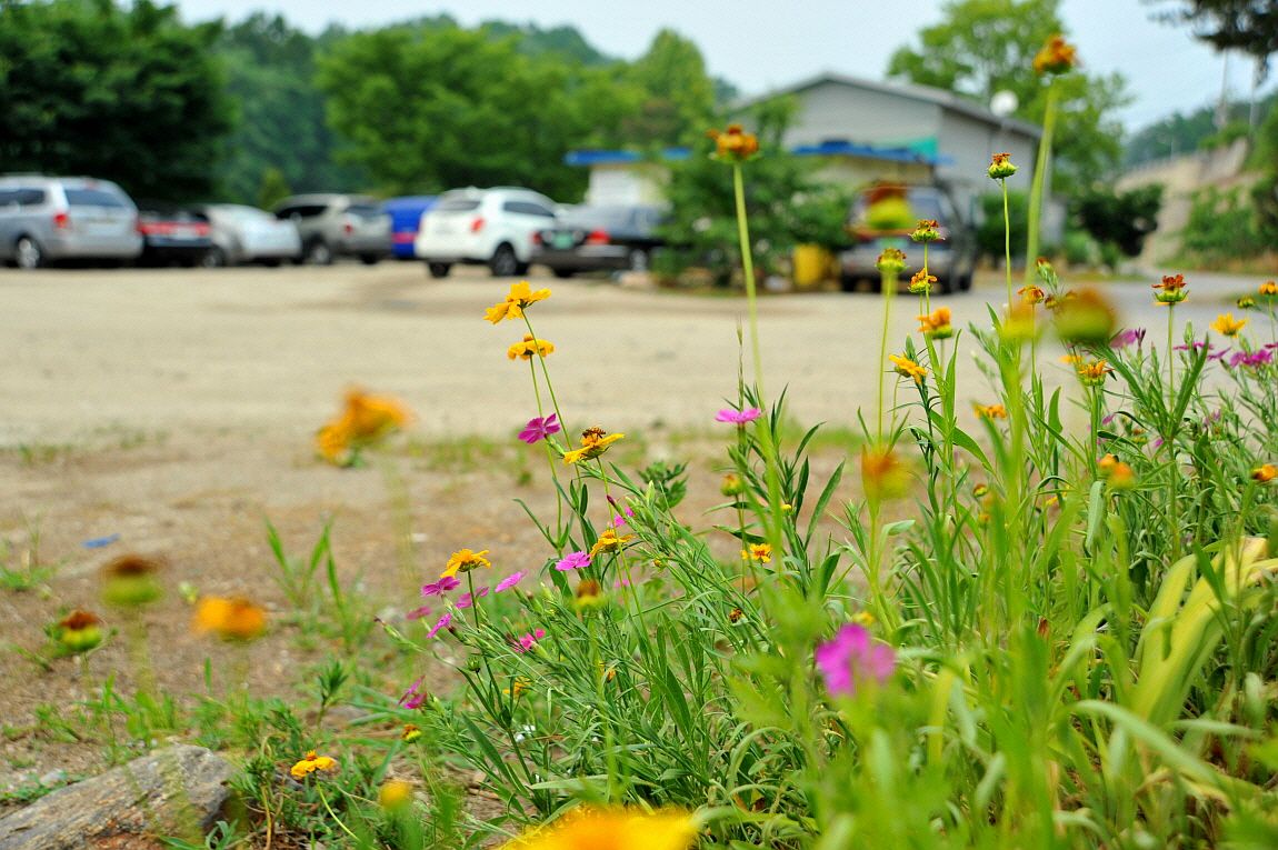 �ٹ̱�_�ٹ̱�_���� ^ ���߸� 037.JPG