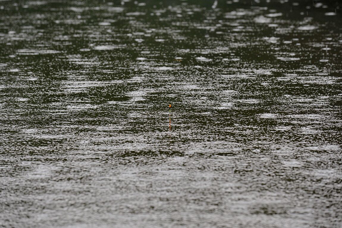 �ٹ̱�_�ٹ̱�_���� ^ ���߸� 084.JPG