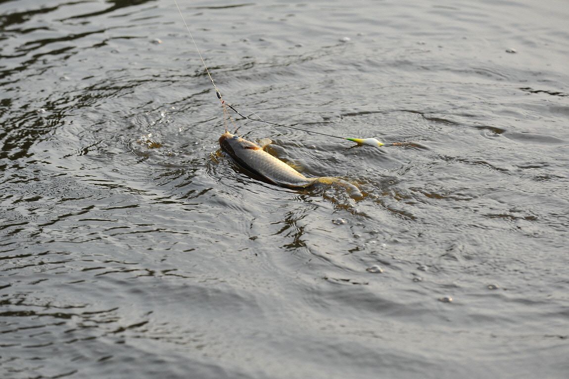 �ٹ̱�_�ٹ̱�_���� ^ ���߸� 108.JPG