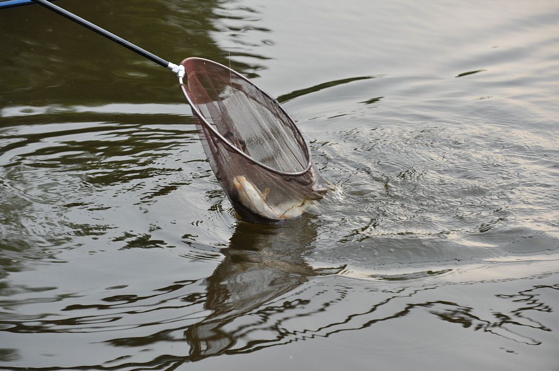 �ٹ̱�_�ٹ̱�_���� ^ ���߸� 073.JPG