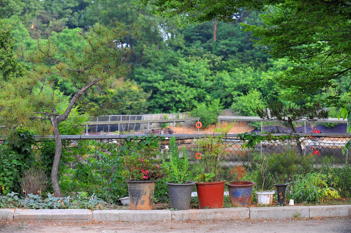 �ٹ̱�_�ٹ̱�_���� �߰� 130.JPG