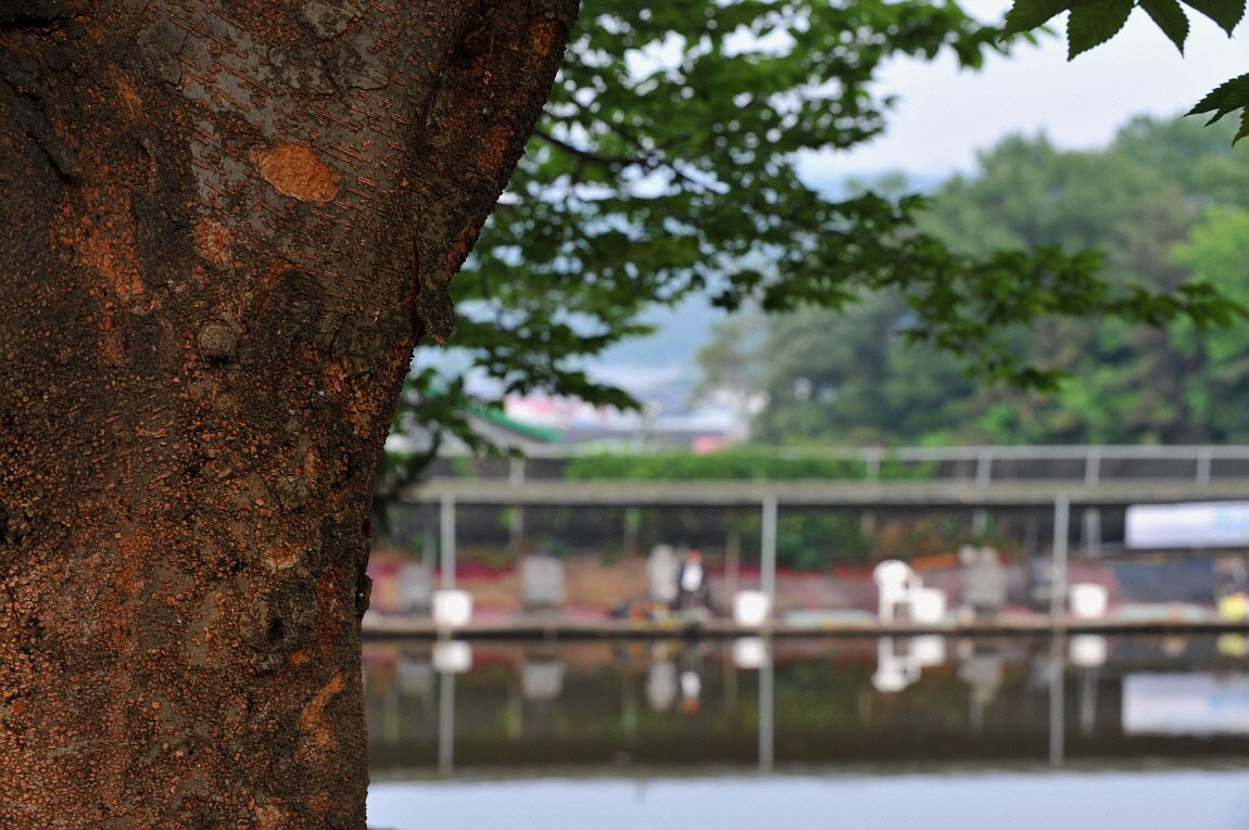 �ٹ̱�_�ٹ̱�_���� �߰� 146.JPG