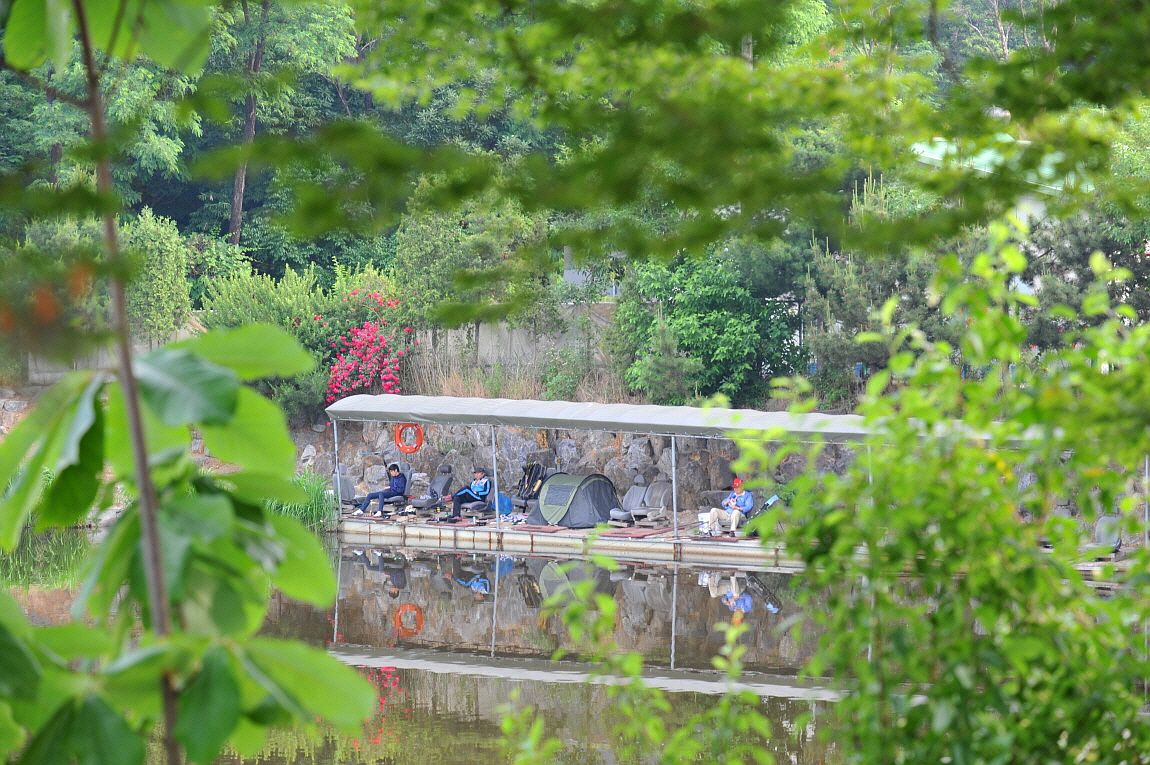 �ٹ̱�_�ٹ̱�_���� �߰� 160.JPG