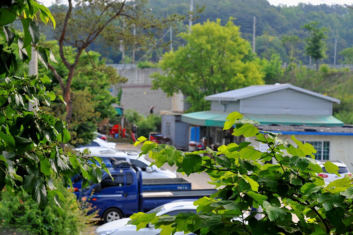 �ٹ̱�_�ٹ̱�_���� �߰� 169.JPG