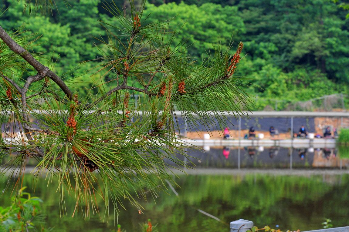 �ٹ̱�_�ٹ̱�_���� �߰� 223.JPG