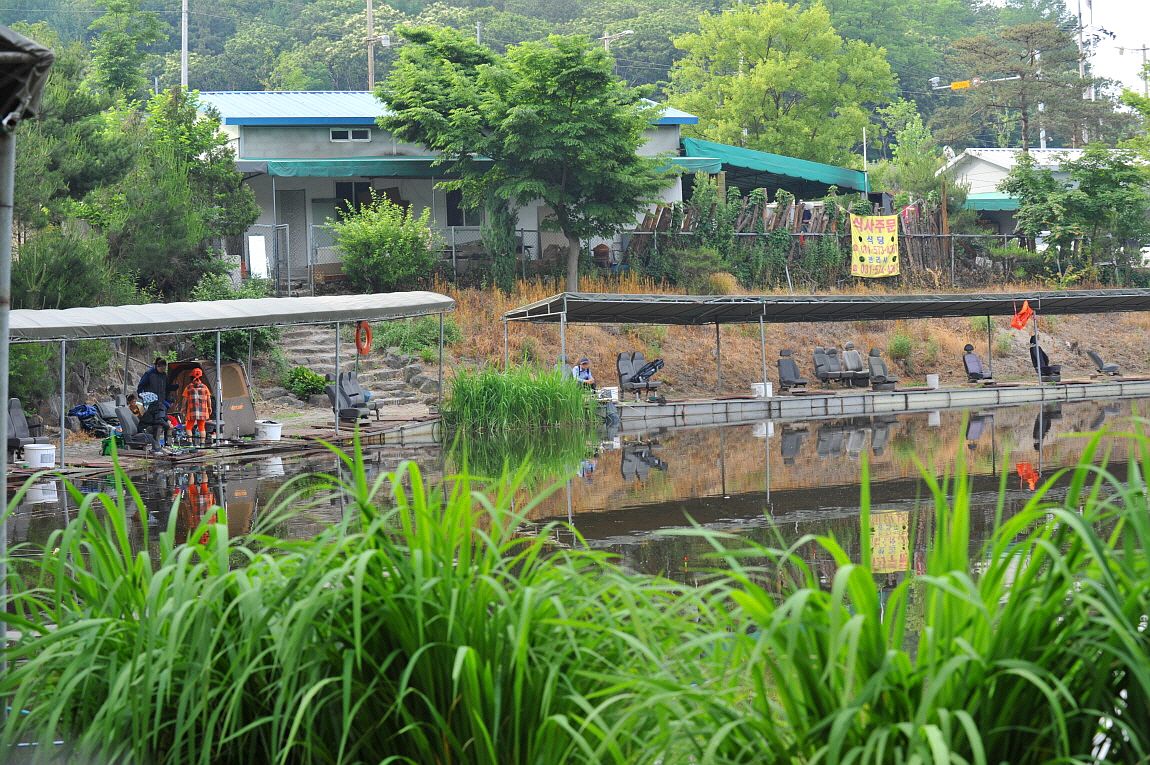 �ٹ̱�_�ٹ̱�_���� �߰� 191.JPG