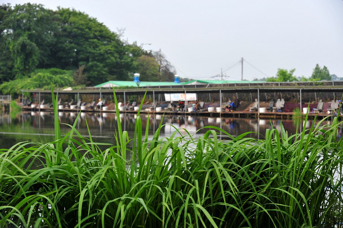 �ٹ̱�_�ٹ̱�_���� �߰� 193.JPG