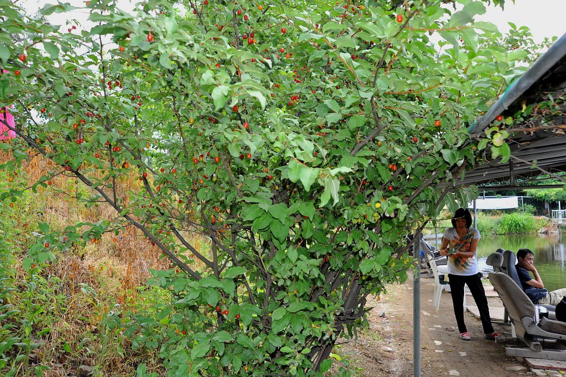 �ٹ̱�_�ٹ̱�_���� ^ ���߸� 213.JPG