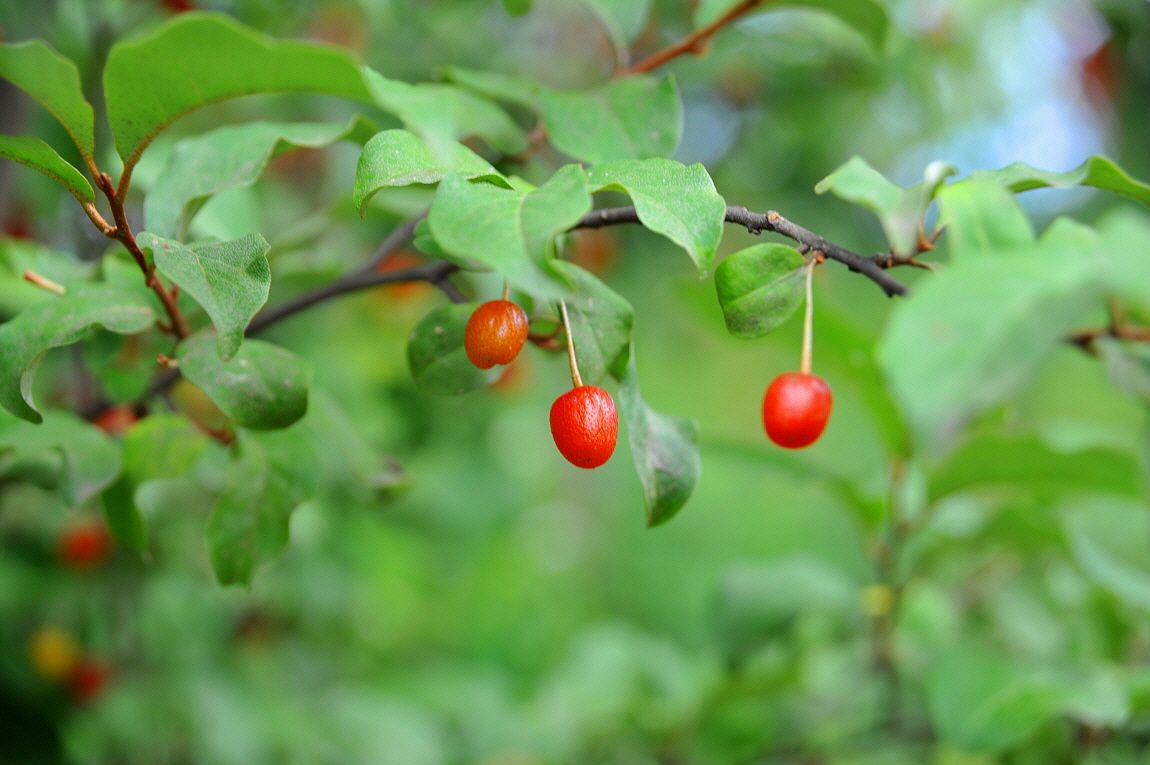 �ٹ̱�_�ٹ̱�_���� ^ ���߸� 210.JPG