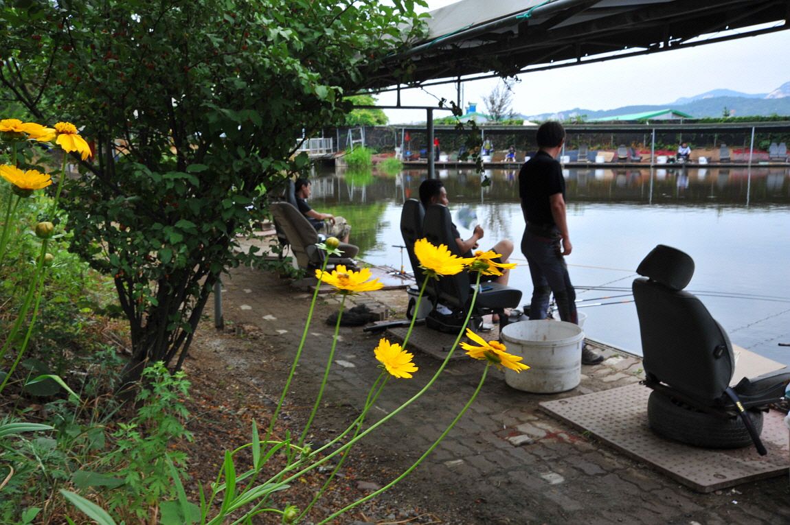 �ٹ̱�_�ٹ̱�_���� ^ ���߸� 228.JPG