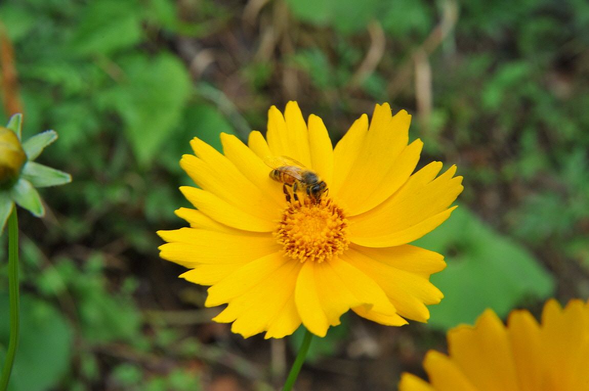 �ٹ̱�_�ٹ̱�_���� ^ ���߸� 223.JPG