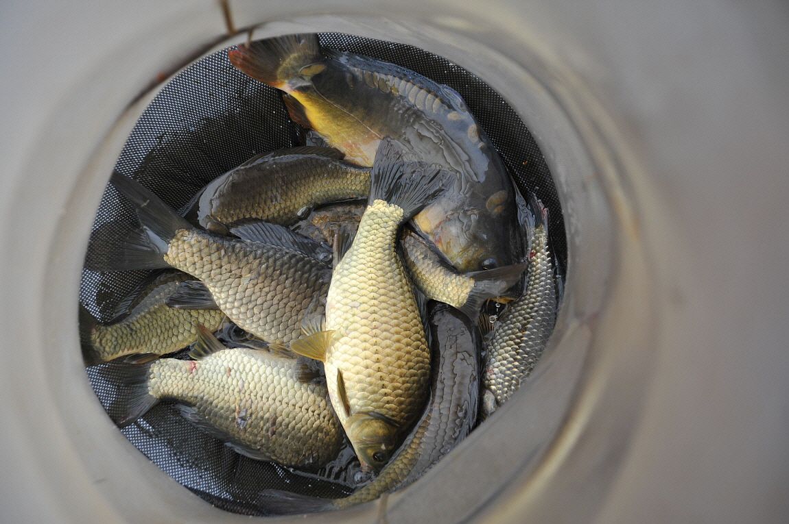 �ٹ̱�_�ٹ̱�_���� ^ ���߸� 206.JPG