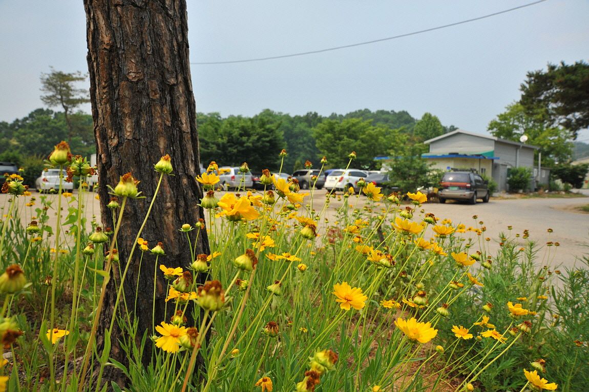 �ٹ̱�_�ٹ̱�_���� ^ ���߸� 026.JPG