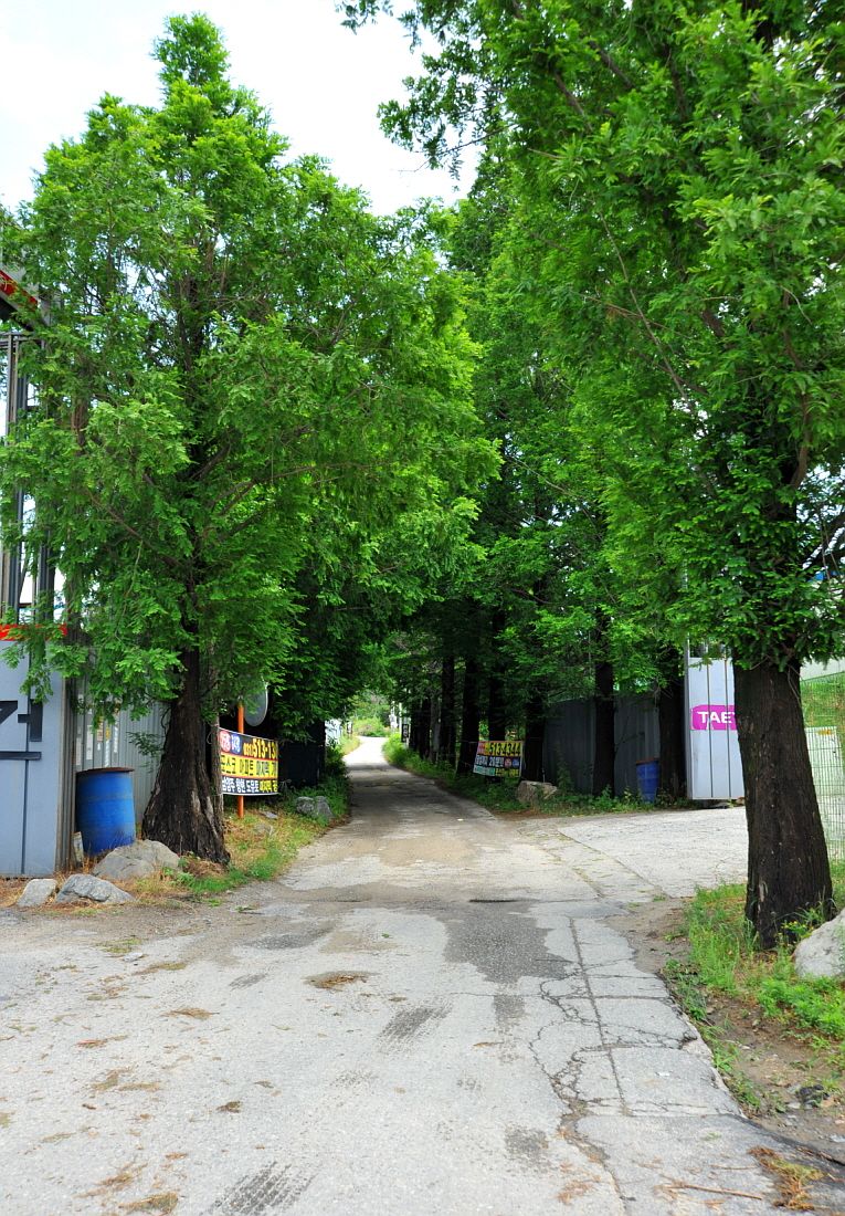 �ٹ̱�_�ٹ̱�_���� ^ ���߸� 241.JPG