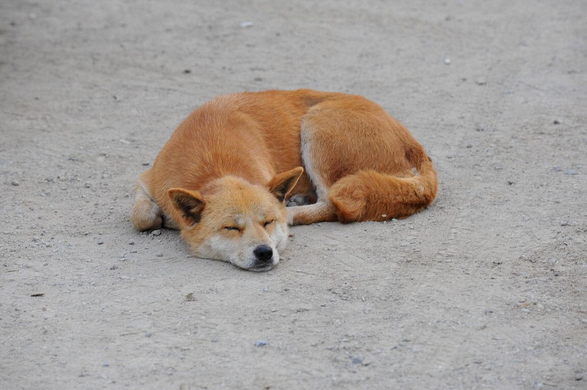 �ٹ̱�_�ٹ̱�_���� �߰� 073.JPG