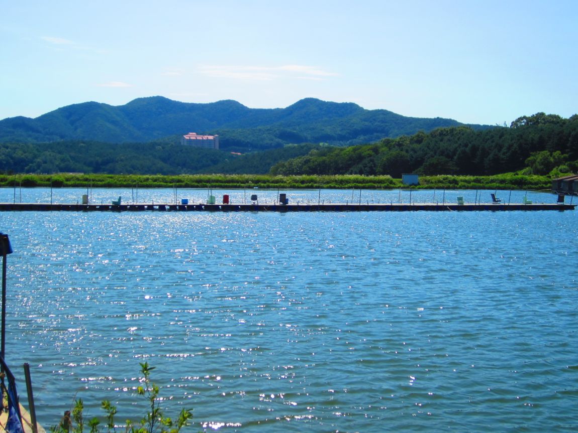 IMG_0025.JPG