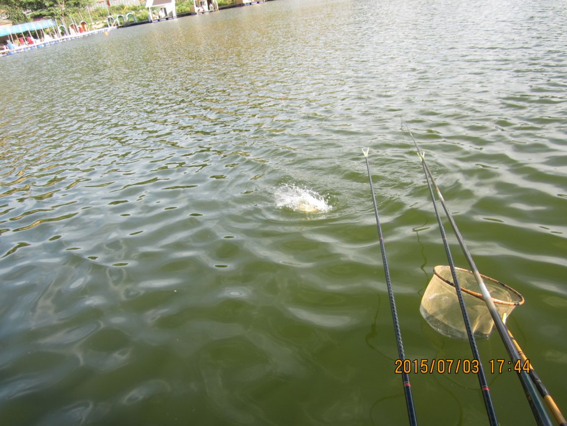 IMG_0072.JPG