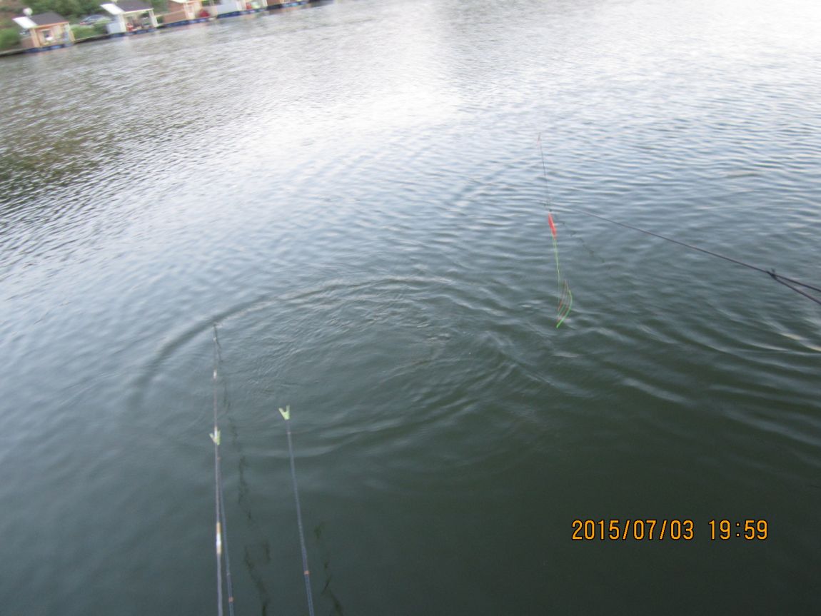 IMG_0086.JPG