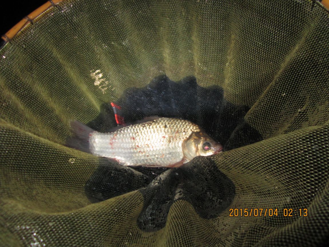 IMG_0131.JPG