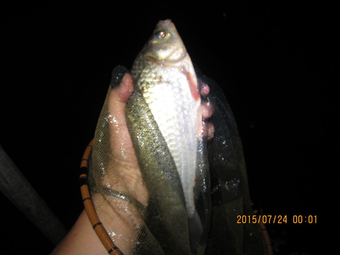 IMG_0041.JPG