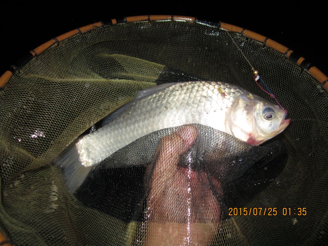 IMG_0103.JPG