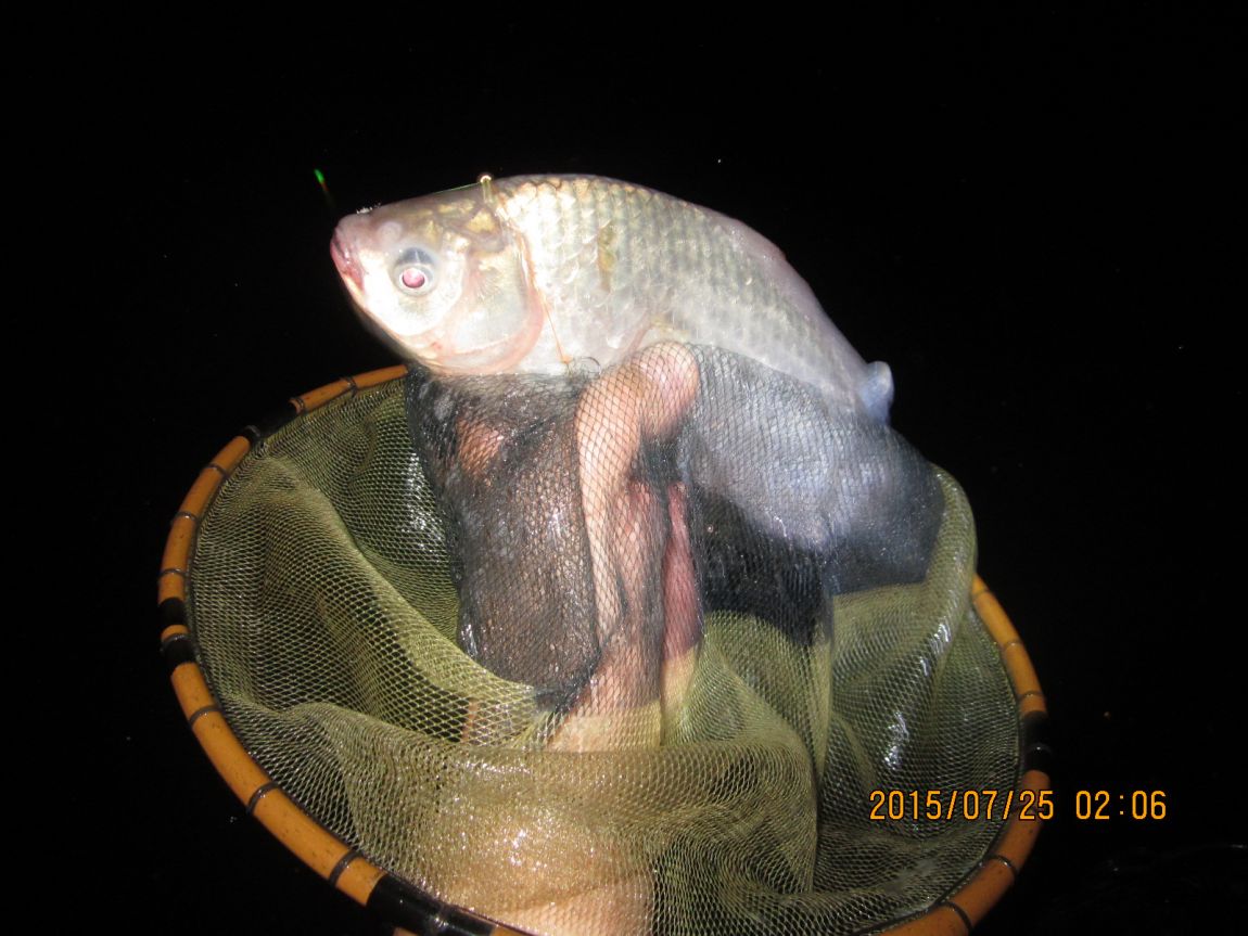 IMG_0106.JPG