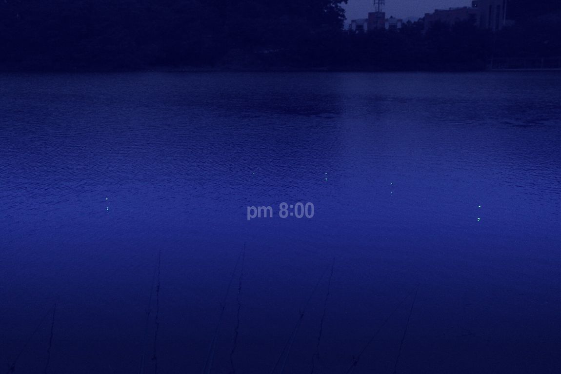 94.jpg