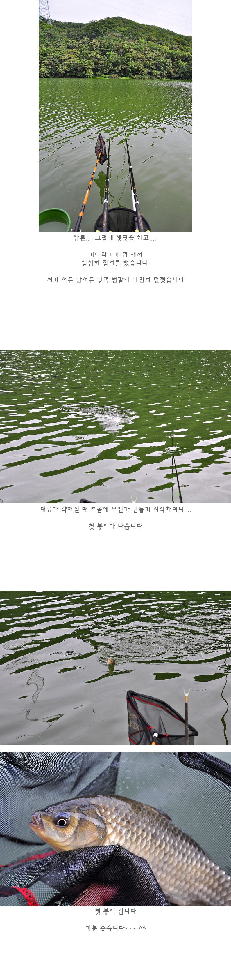 ���������� - 12.jpg