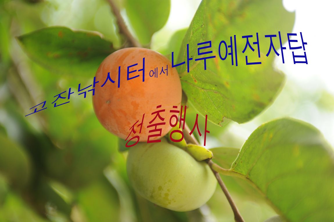 042 �纻.jpg